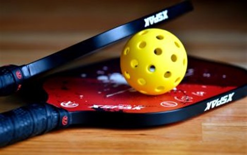 2 pickleball paddles and 1 ball