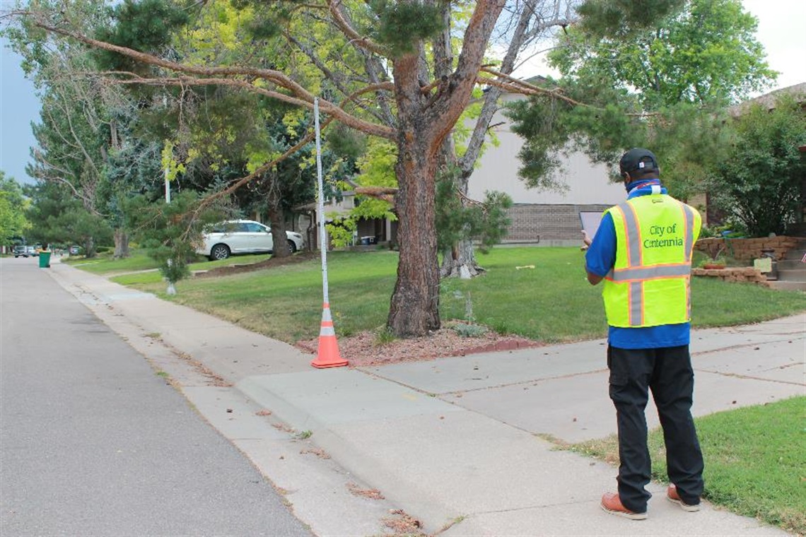 Code Office measuring height of tree limb over a sidewalk
