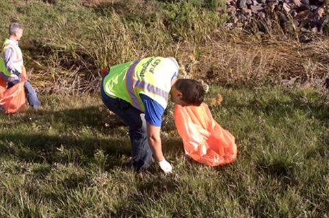 Image of volunteer picking up trash.