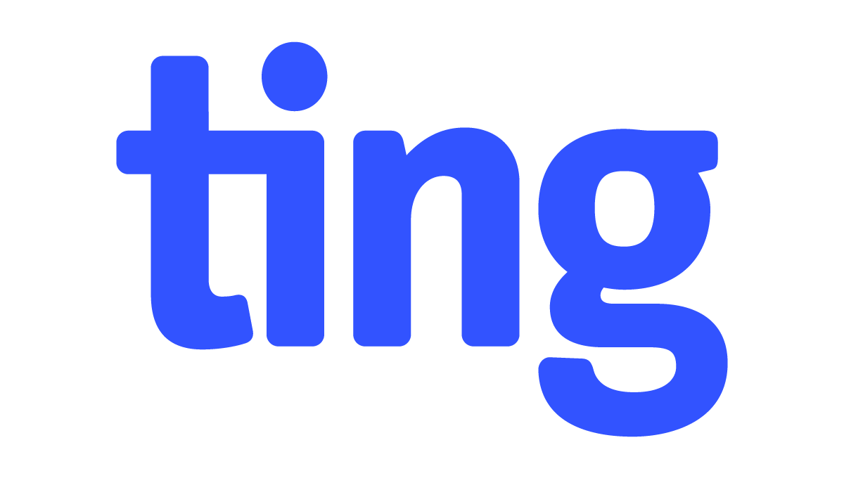 ting logo