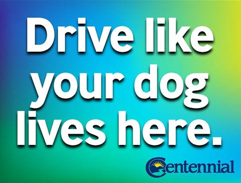 Drive like your dog lives here.