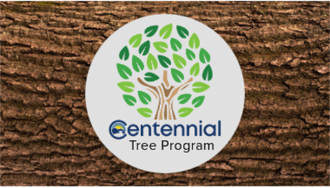 Home – City of Centennial