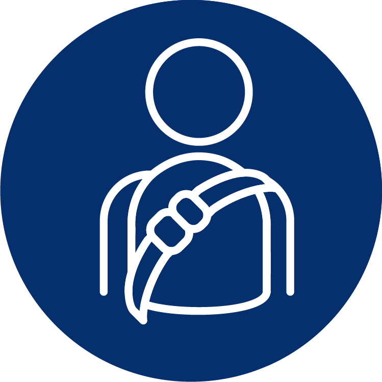 decorative icon for Public Health and Safety goal