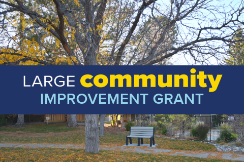 colorful image of houses, trees and clouds with the words large community improvement grant